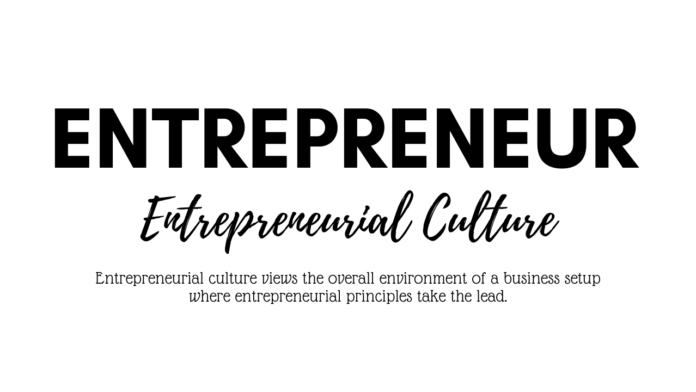Entrepreneurial Culture